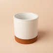 White Half Glazed Top
