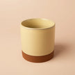 Buttery Yellow Half Glazed Top