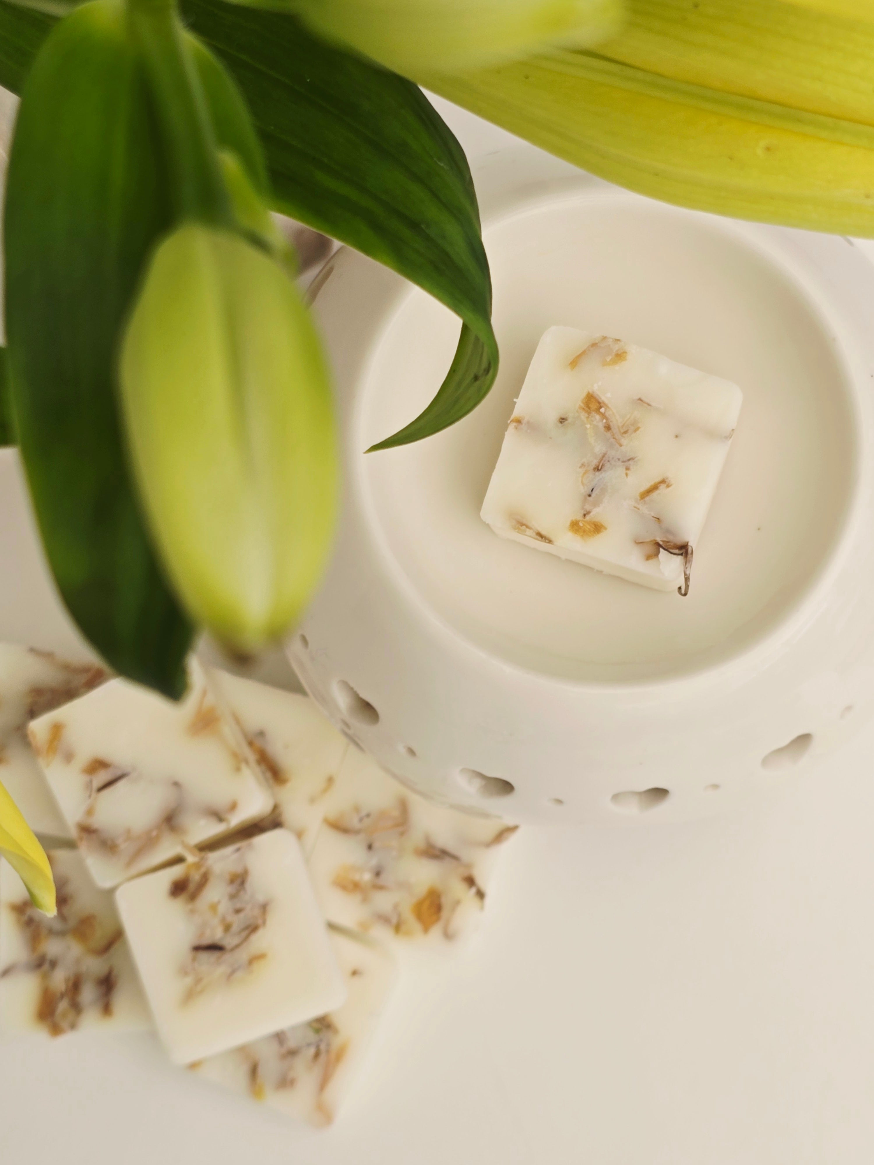 Nestled between green leaves, a white dish holds several pieces of wax with visible embedded elements.