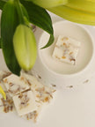 Nestled between green leaves, a white dish holds several pieces of wax with visible embedded elements.