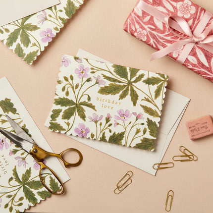 Geranium 'Birthday Love'