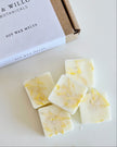 IVY & WILLOW Botanicals soy wax melts on a white surface with a branded box.