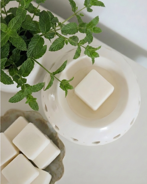 White wax melt burner with wax melts and a mint  plant on a white surface