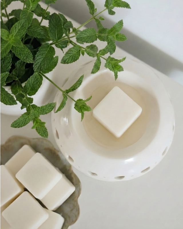 White wax melt burner with wax melts and a mint  plant on a white surface