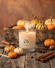 Pumpkin Spice 'Classic' 300g